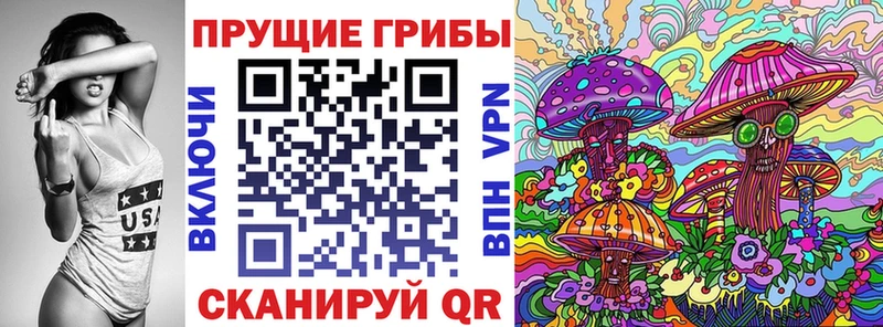 Галлюциногенные грибы Magic Shrooms  Купить где  Новозыбков 
